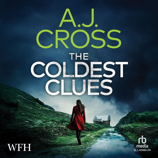 The Coldest Clues - cover
