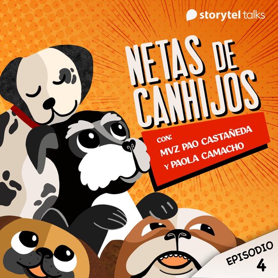 ¿Los perros tienen sentimientos? - cover