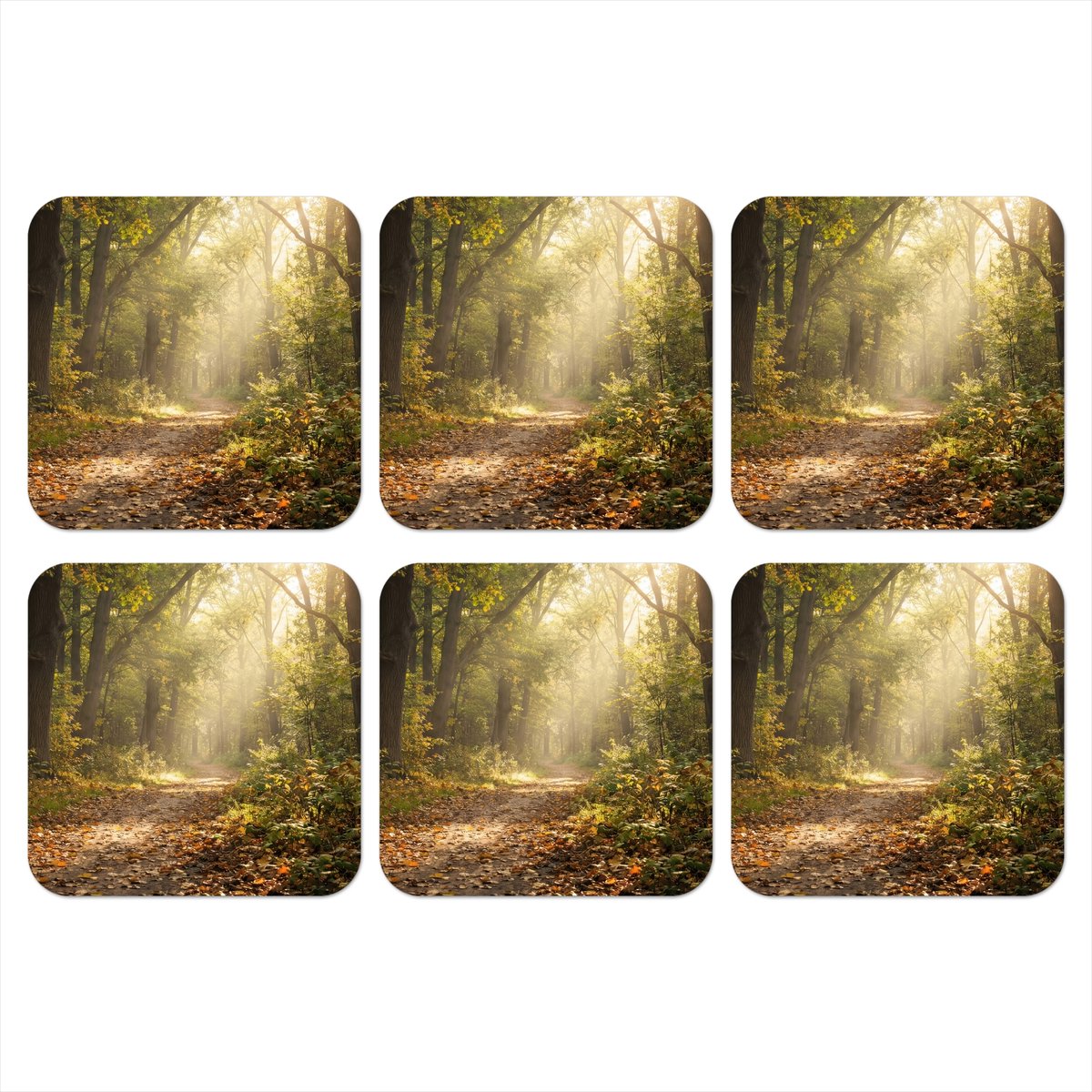 Onderzetters voor glazen - Zonlicht - Bospad - Bomen - 10x10 cm - Glasonderzetters - 6 stuks