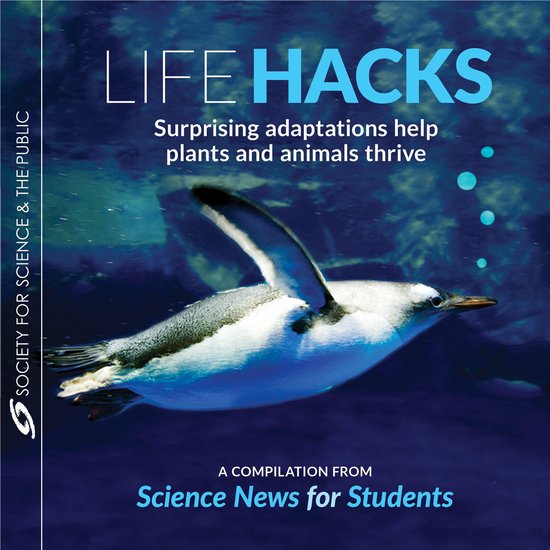 Life Hacks - cover