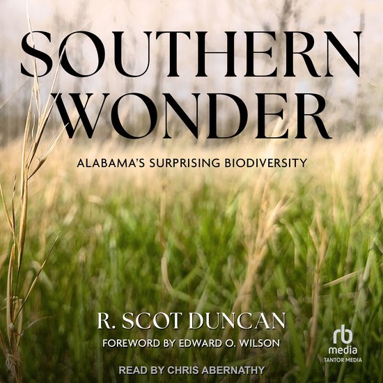 Southern Wonder - cover