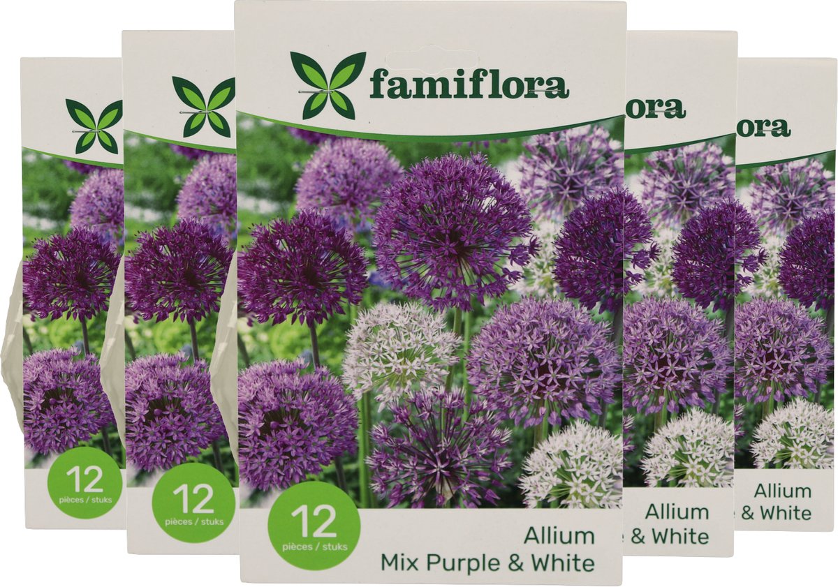 Famiflora Alium mix paars/wit 10/12 - 5 x 12 - 60 bloembollen - Bloeien van vroege lente tot middenjaar voor langdurige kleur en levendigheid in je tuin