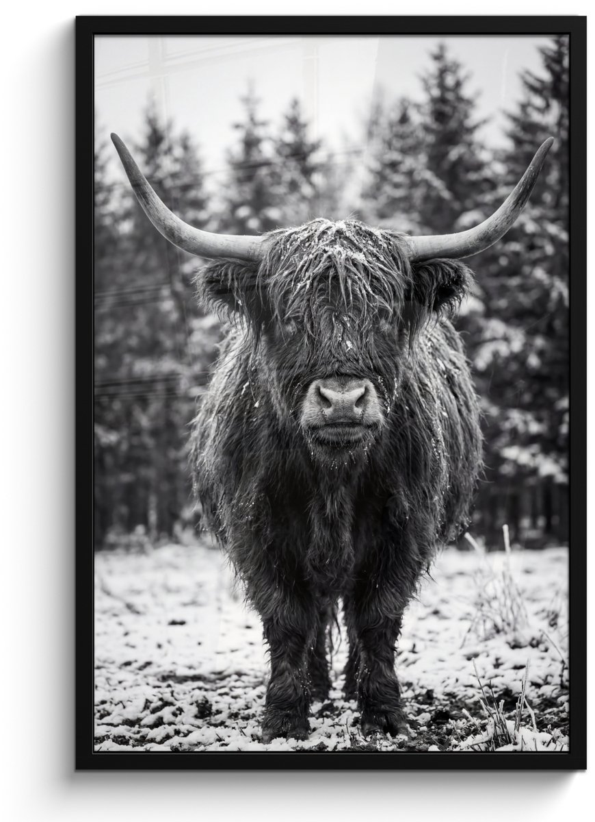 FrameYourWall Poster in lijst - Fotolijst 60x90 cm - Posters - Schotse hooglander - Zwart - Wit - Sneeuwvlokken - Posterlijst zwart - Decoratie - Wanddecoratie woonkamer - Muurdecoratie slaapkamer