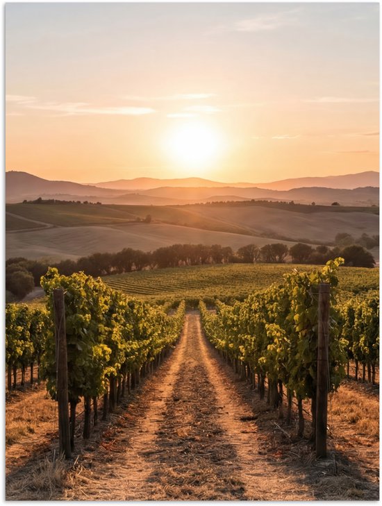 Poster 30x40 cm - Wijngaard - Zonsondergang - Landschap - Posters - Kamer decoratie - Wanddecoratie woonkamer - Muurdecoratie slaapkamer