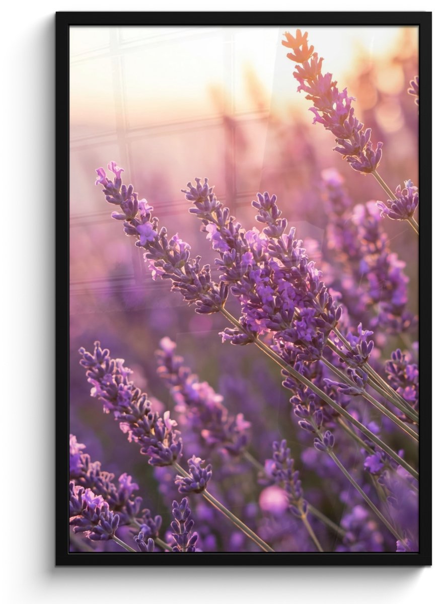 FrameYourWall Poster in lijst - Fotolijst 60x90 cm - Posters - Lavendel - Paars - Zonlicht - Posterlijst zwart - Decoratie - Wanddecoratie woonkamer - Muurdecoratie slaapkamer