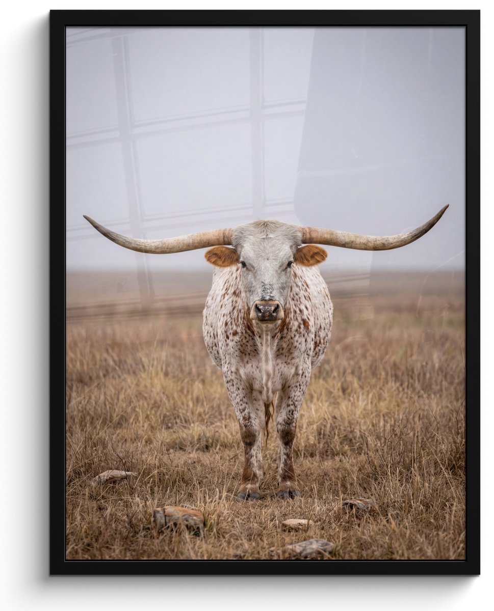 FrameYourWall Poster in lijst - Fotolijst 60x80 cm - Posters - Longhorn - Grasveld - Dier - Posterlijst zwart - Decoratie - Wanddecoratie woonkamer - Muurdecoratie slaapkamer