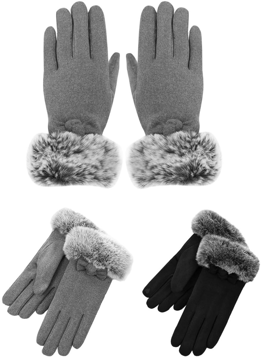 2 Pairs Dames Winter Handschoenen, Winddicht Fleece, Volledige Vinger, Outdoor Fiets- en Ruiterhandschoenen, Warm en Lichtgewicht
