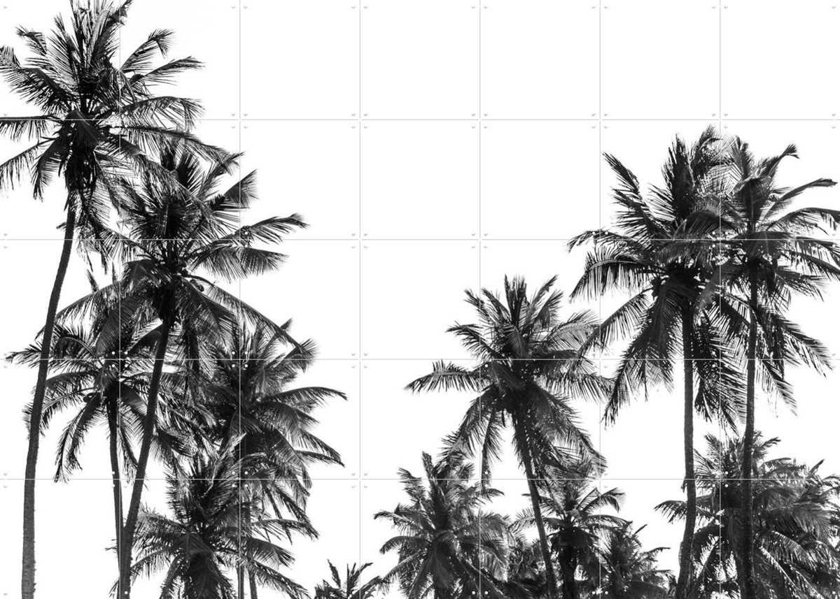 IXXI Palm Trees in Africa, Photolovers - 140 x 100 cm - Gratis ophangtool - Grote wanddecoratie en posters - Fotografie, Woonkamer, Slaapkamer