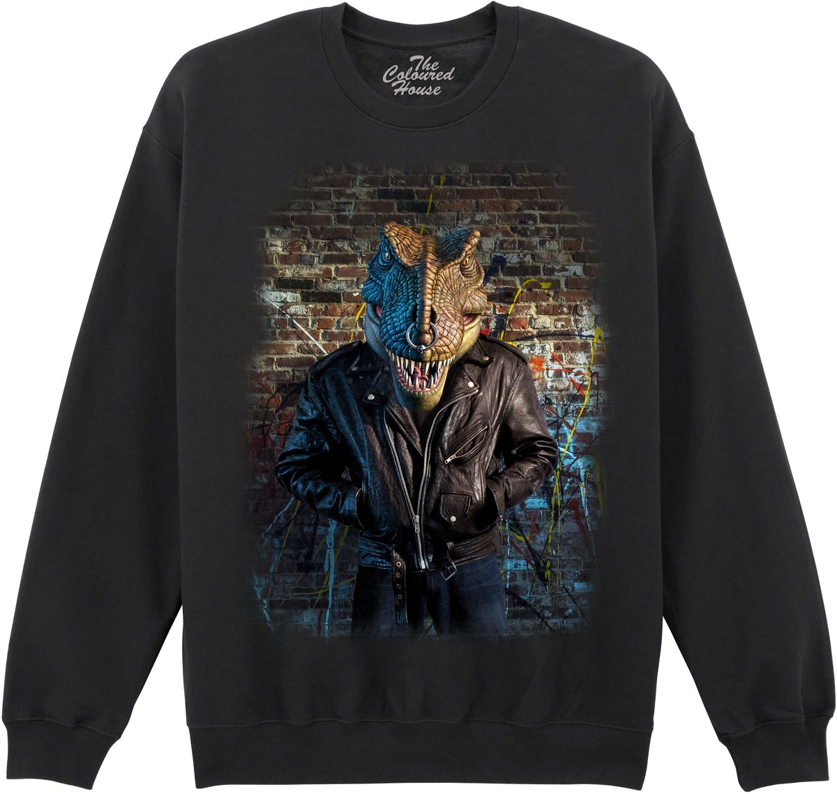 Dino Nas T-Rex The Coloured House Sweater 4XL