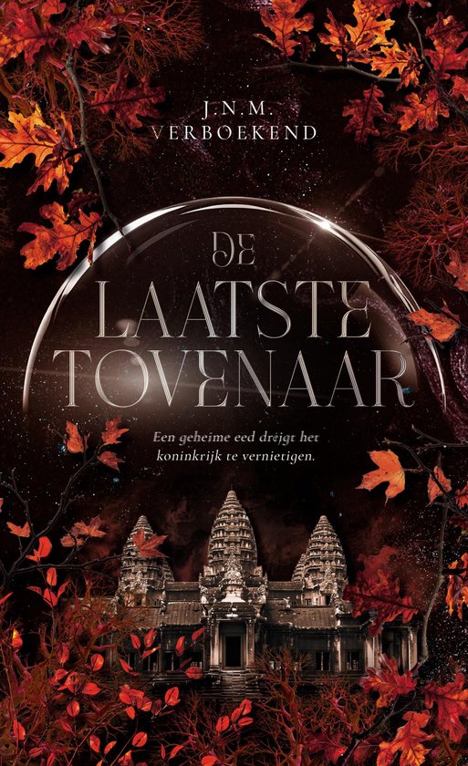 koepels van macht 2 - De laatste tovenaar - cover