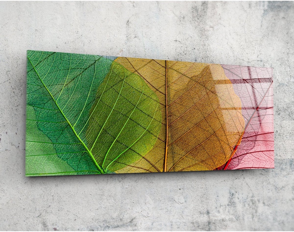 Panorama Glasschilderij - Blad - Kleurrijke wanddecoratie - 92 x 36 cm