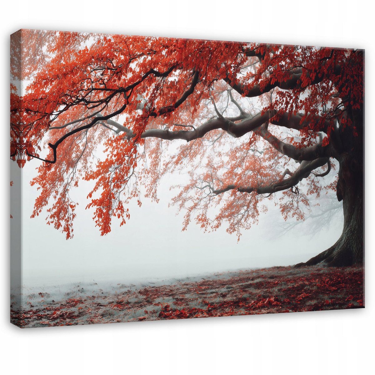 WALLARENA Schilderij op canvas - 120x80 cm - Boom Natuur Landschap Mist - Geschikt voor slaapkamer en woonkamer Veelkleurig