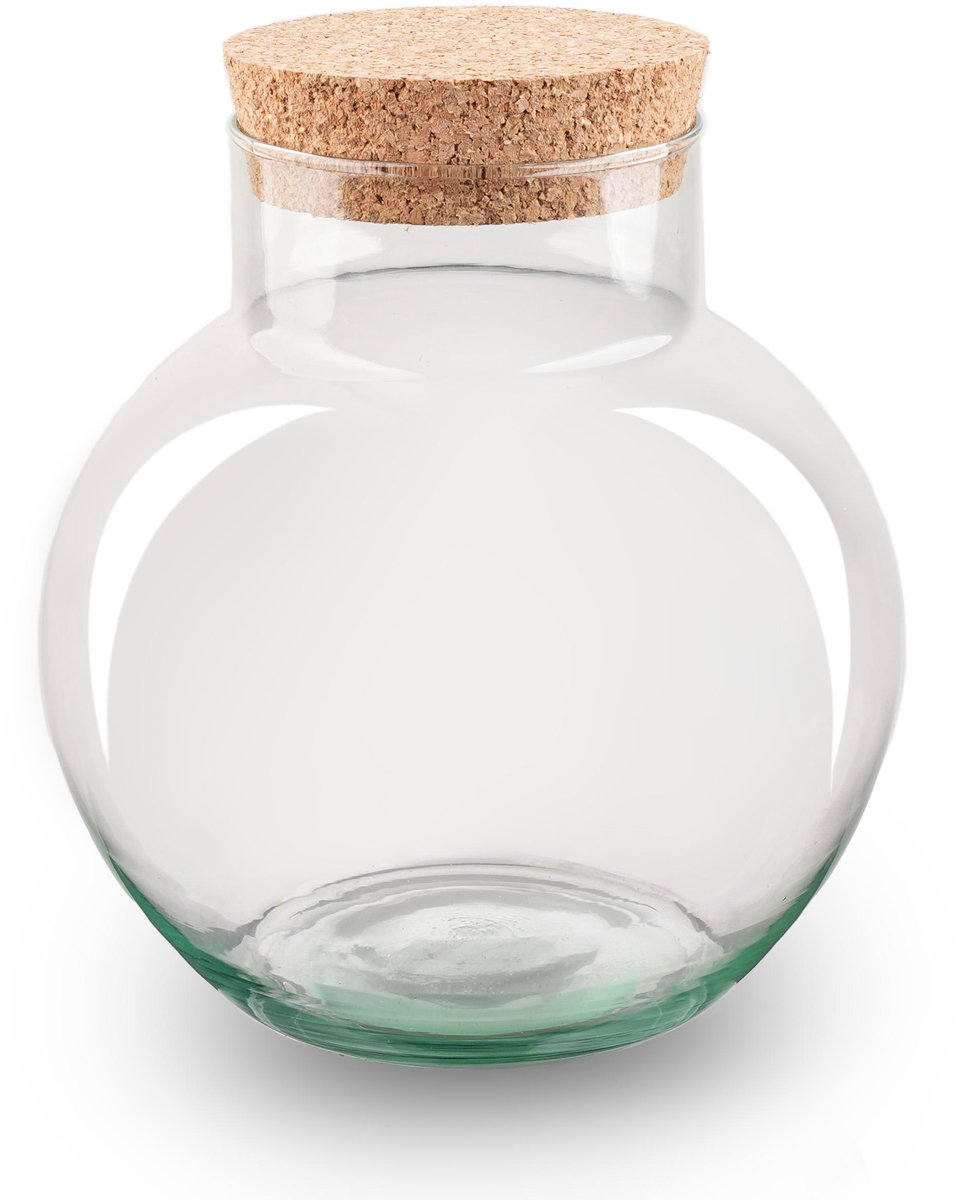 Terrarium bottle garden with cork - DIY Terrarium Online | Florazo