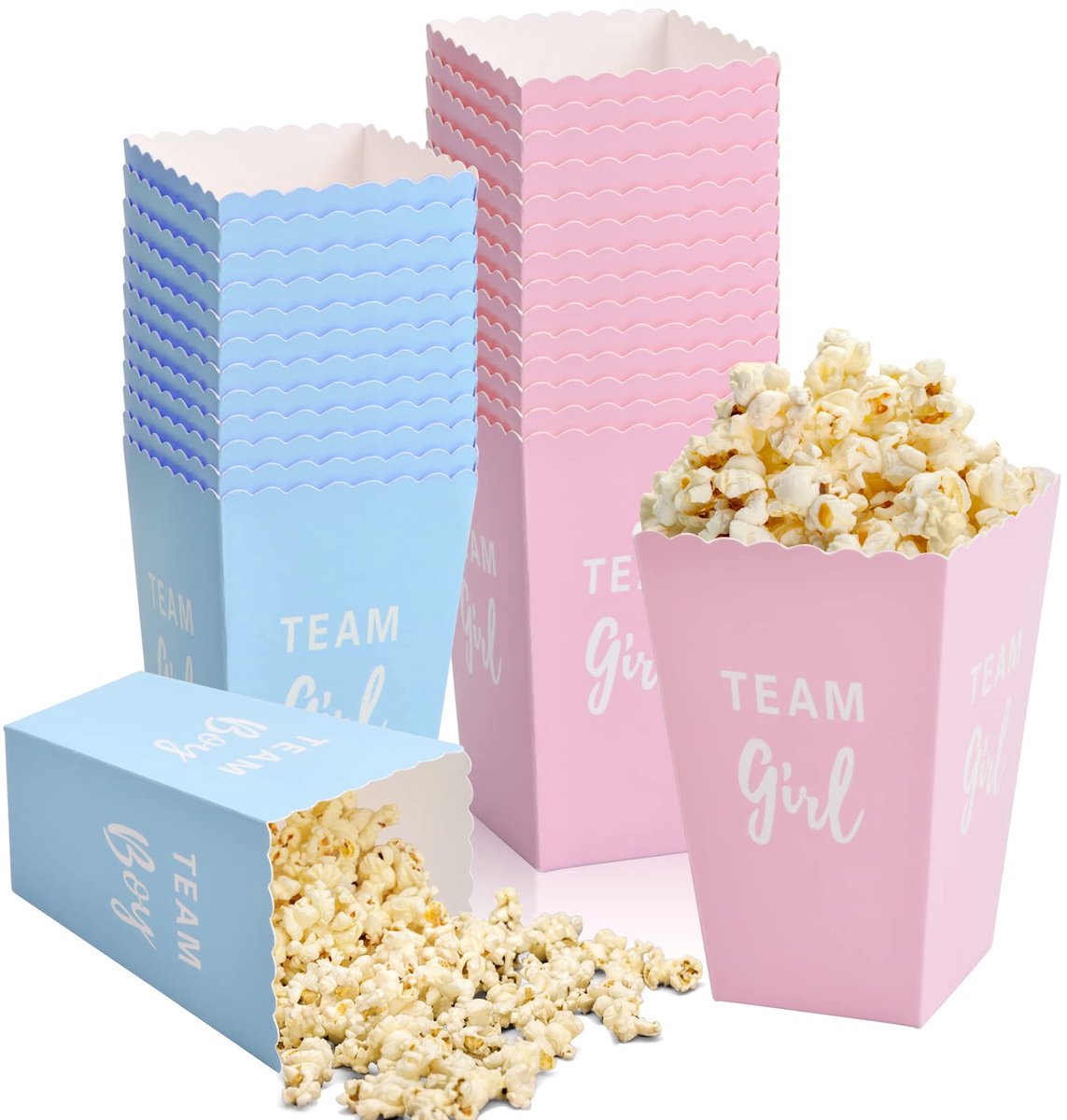Papieren Popcorn Dozen - Geslacht Onthulling - 50 Stuks in Blauw en Roze