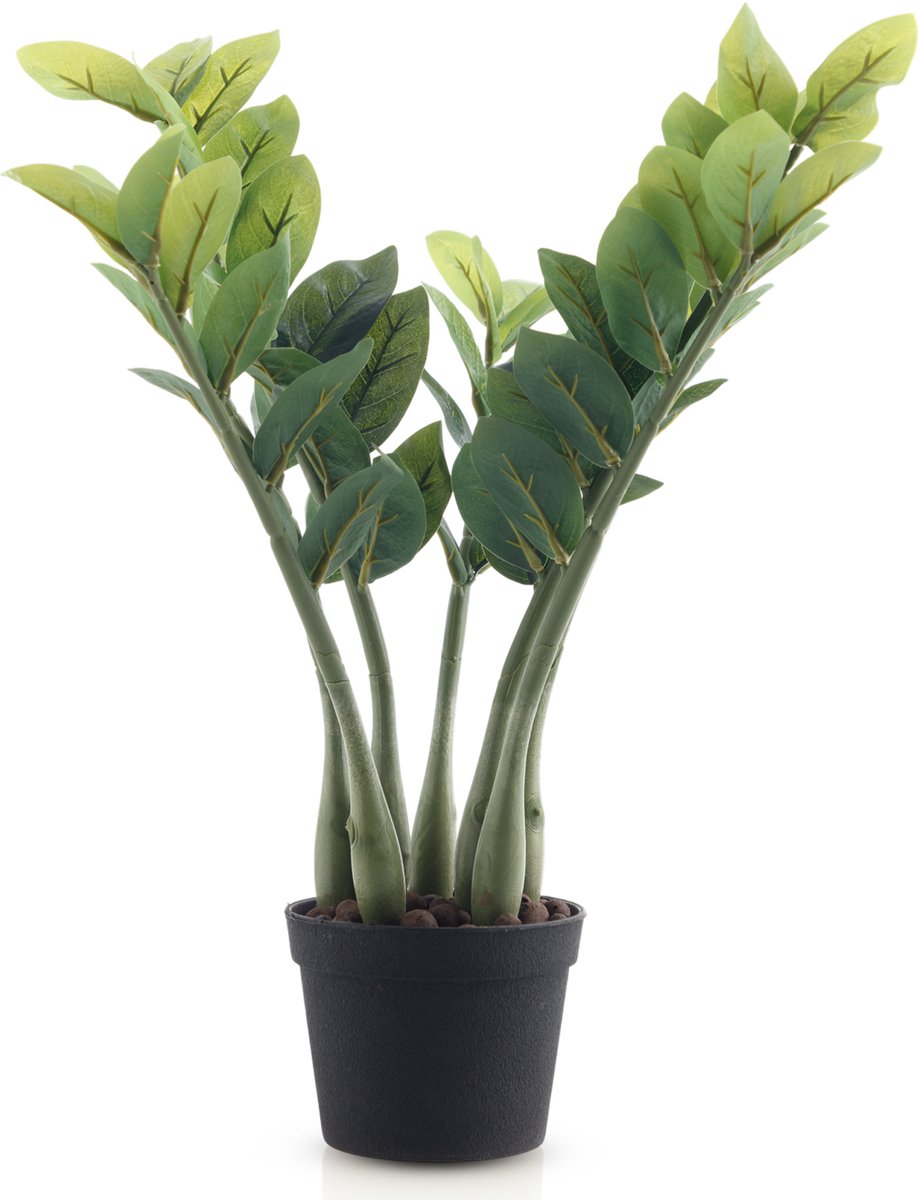 Meisterhome® Kunst Zamioculcas 50 cm – Kunstplant - Onderhoudsvrije Kamerplant – Inclusief Pot – Realistisch & Vol Model – Groen
