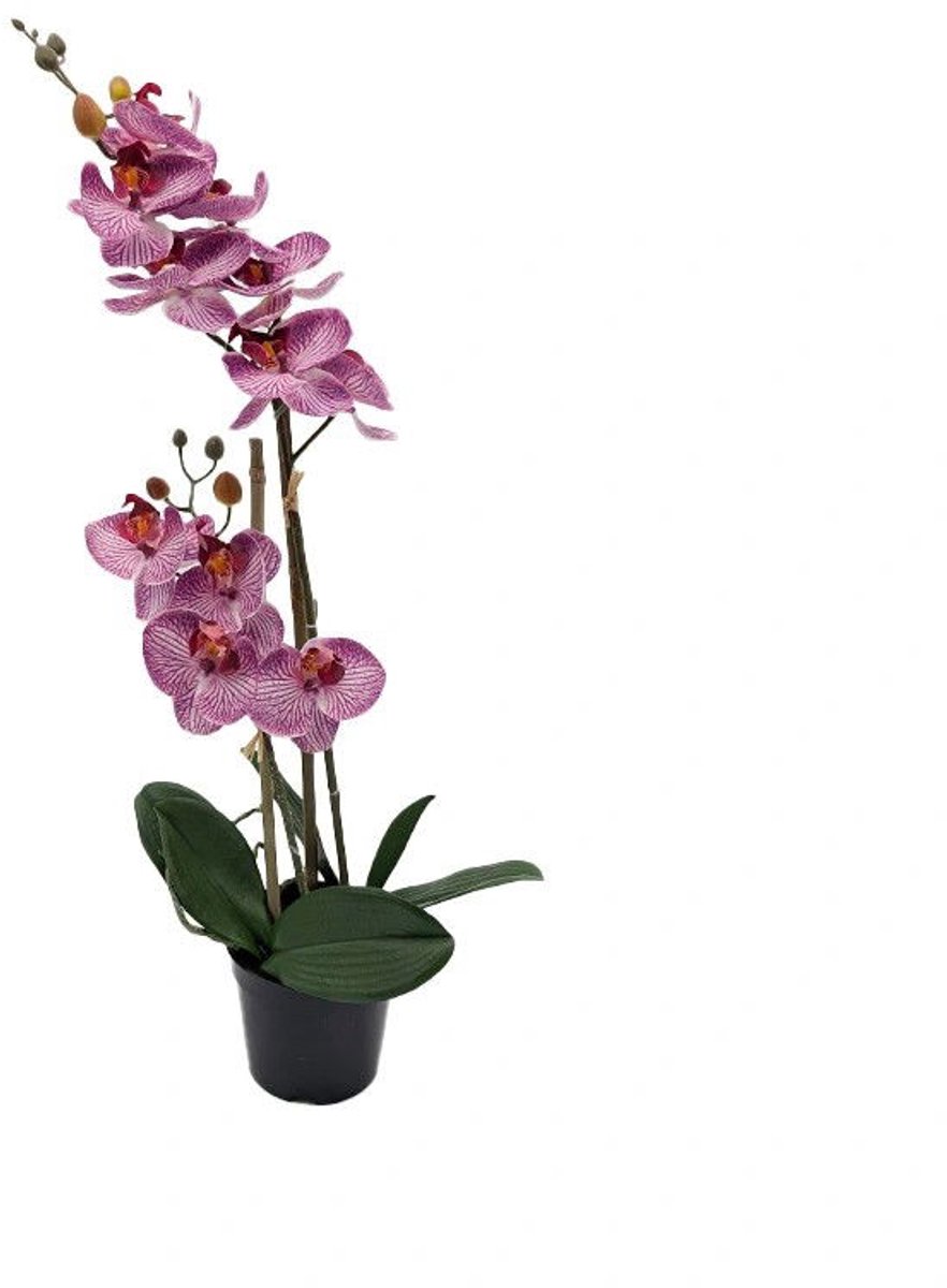 Buitengewoon Boet Phalaenopsis Orchidee in pot x2 50 cm Tiger Cerise kunstplant Buite... roze