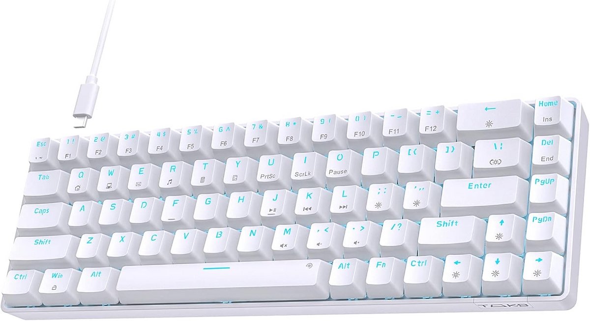 Mechanisch Gaming Toetsenbord 60% met USB-Kabel - Anti-Ghosting QWERTY Layout - Mini Blauwe Schakelaars voor PC en Mac