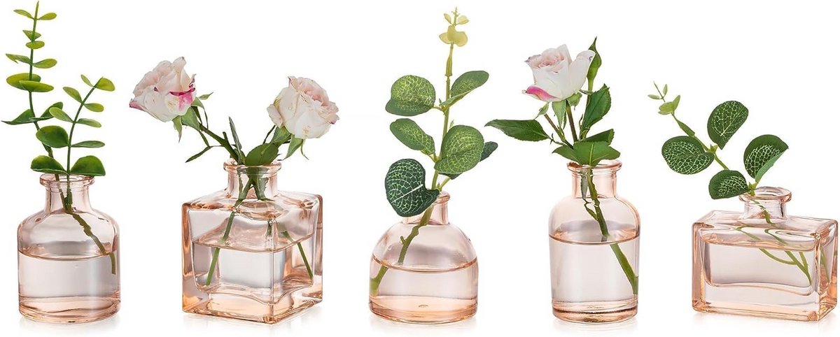 Mini Glazen Vazen Set van 5 voor Bloemen - Elegante Tafeldecoraties voor Woonkamer, Eettaf