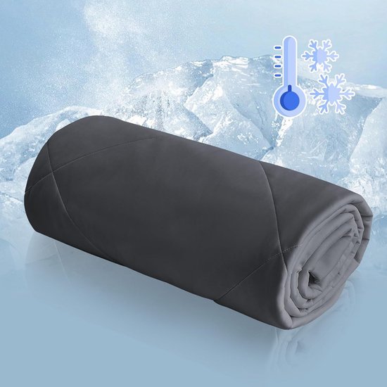 Luxe Zomer Dekbed Dubbelzijdig Koel Nylon Beddengoed Grijs 200x200 cm Wasbaar