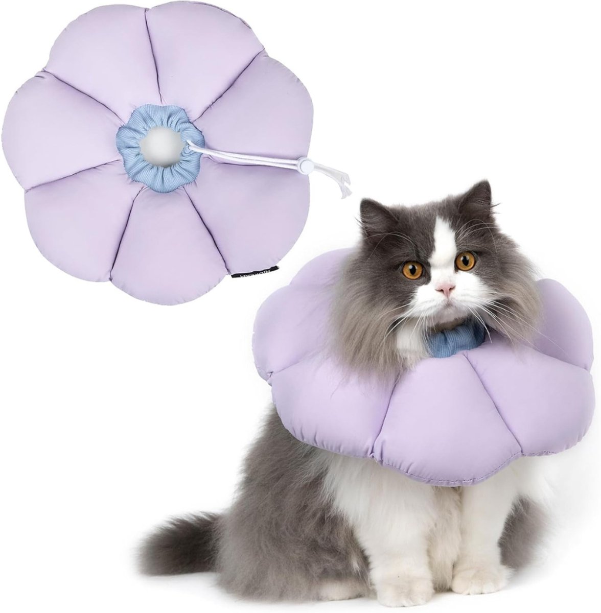White-Label® Kattenkraag voor Nazorg - Beschermkraag - Paars