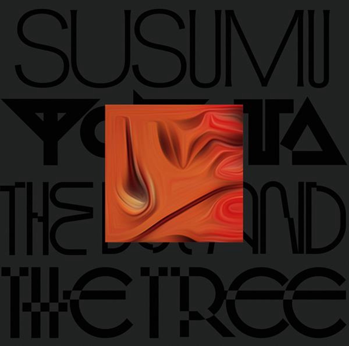 Susumu Yokota - The Boy And The Tree (LP)