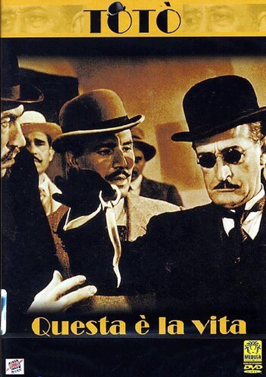 Deze film is een prachtige weergave van het leven