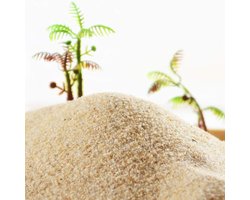 Aquarium Zand - Decoratief Grind - Landschapsarchitectuur Aquarium - PH Stabiliserend - 1000g Zak - Natuurlijk Zandkleurig