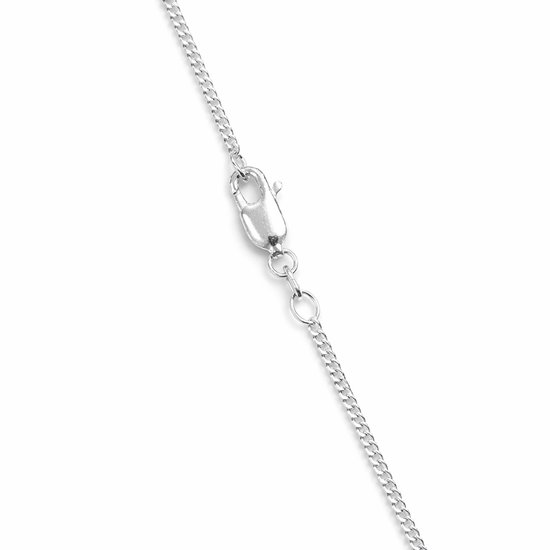Close-up van de zilverkleurige karabijnsluiting van een gourmet schakelketting.