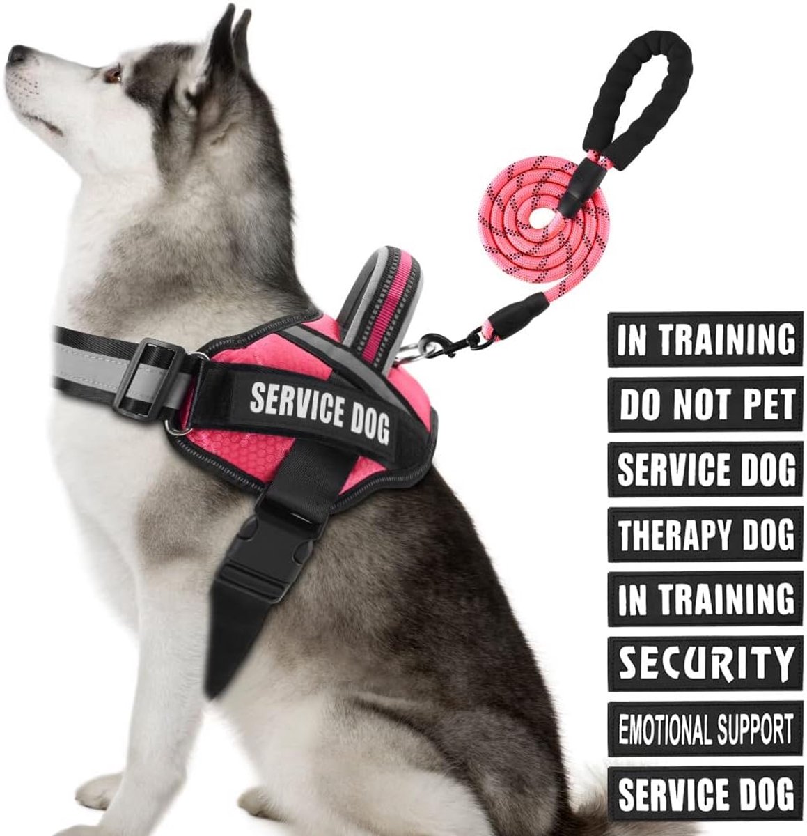 Service Hondentuig - Training Harnas - Veiligheid & Zichtbaarheid - Verstelbaar & Gewatteerd - XL - Rose Rood