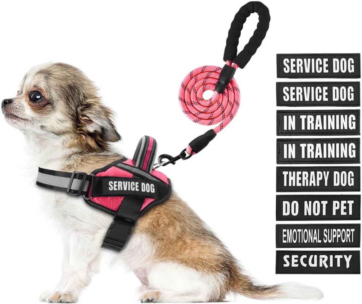 Hondenvest Harnas Set - Hondentuig Training - Veiligheid Wandelen - Verstelbaar Zacht - XS tot XL - Rood