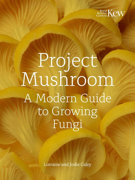 Project Mushroom - cover