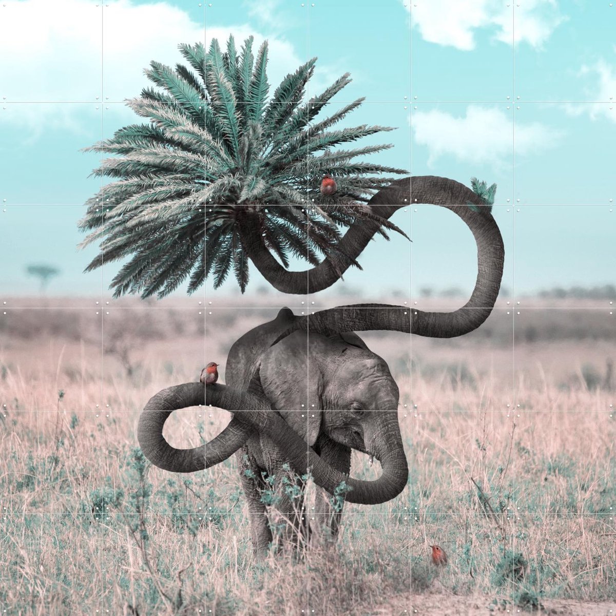 IXXI Diversity, Julien Tabet - 120 x 120 cm - Gratis ophangtool - Grote wanddecoratie en posters - Surrealisme, Fotografie, Speels, Gemengde