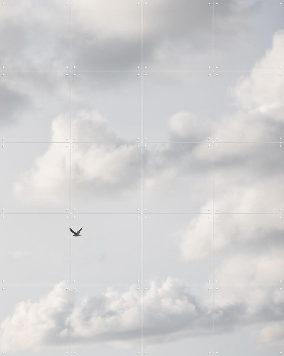 IXXI Free as a Bird 2, Mareike Böhmer - 80 x 100 cm - Gratis ophangtool - Grote wanddecoratie en posters - Fotografie, Grafisch Ontwerp, Minimalisme