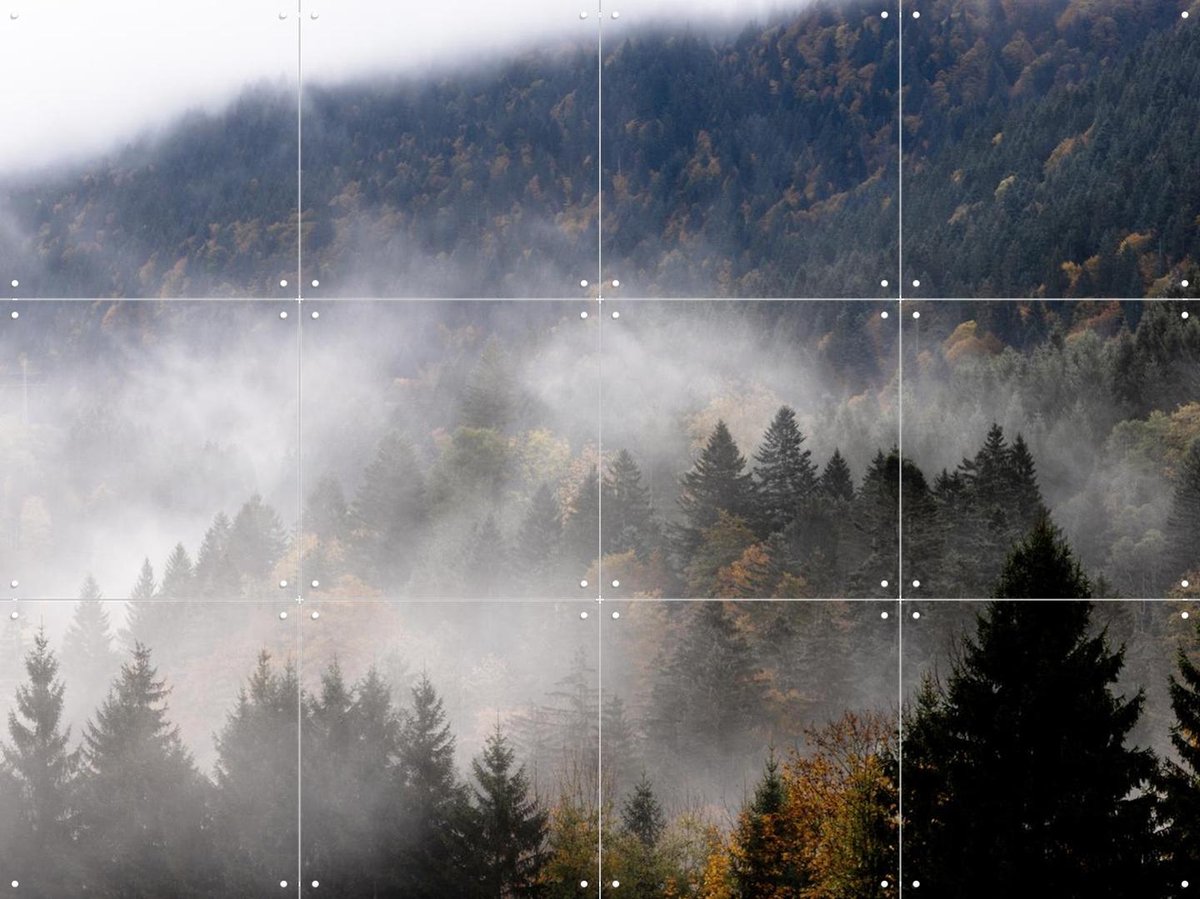IXXI Foggy Woods 9, Mareike Böhmer - 80 x 60 cm - Gratis ophangtool - Grote wanddecoratie en posters - Naturalisme, Fotografie, Realisme, Woonkamer