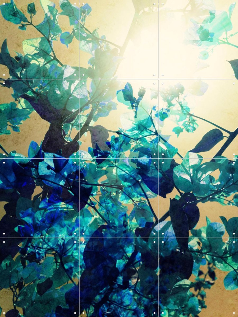 IXXI Sunny Blue, Angelo Cerantola - 60 x 80 cm - Gratis ophangtool - Grote wanddecoratie en posters - Abstract, Digitale Kunst, Fotografie