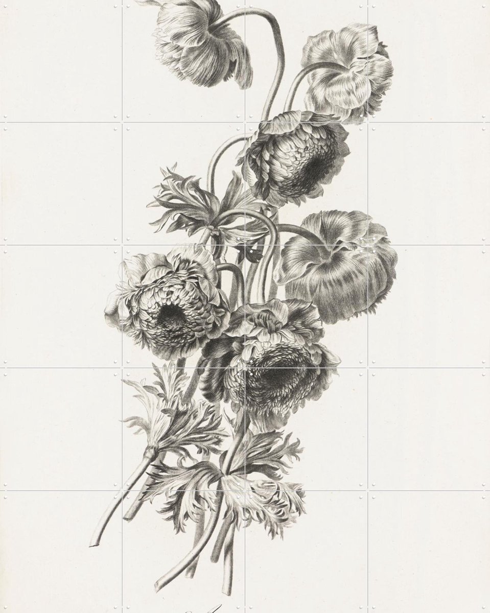 IXXI Anemoon, Pierre François Legrand & Het Noordbrabants Museum - 80 x 100 cm - Gratis ophangtool - Grote wanddecoratie en posters - Klassiek
