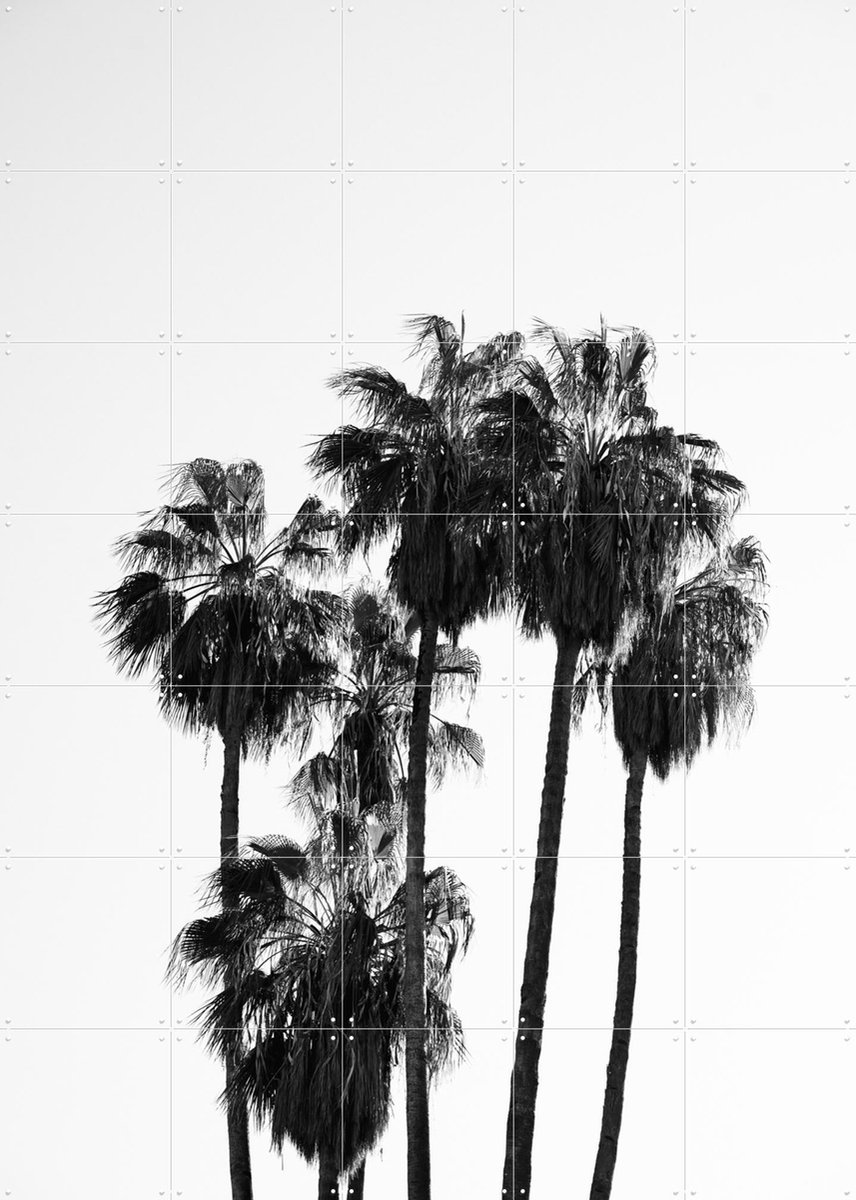 IXXI Palms in the Wind, Henrike Schenk - 100 x 140 cm - Gratis ophangtool - Grote wanddecoratie en posters - Fotografie, Minimalisme, Woonkamer, Gang