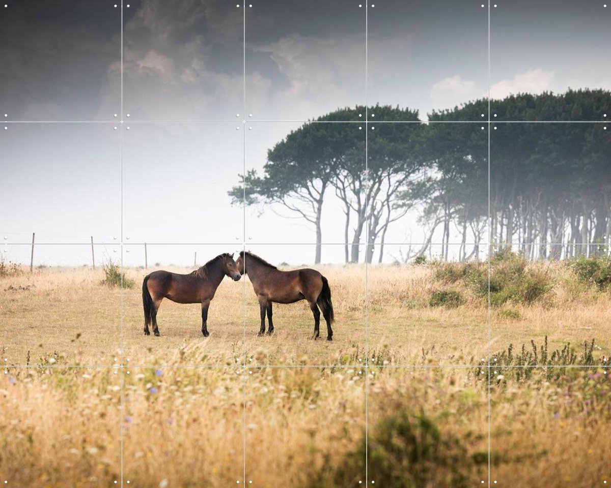 IXXI Vilde Heste Denmark Horses, Claire Droppert - 100 x 80 cm - Gratis ophangtool - Grote wanddecoratie en posters - Realisme, Fotografie