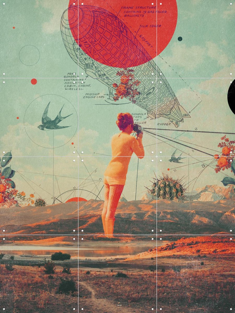 IXXI Rover, Frank Moth - 60 x 80 cm - Gratis ophangtool - Grote wanddecoratie en posters - Vintage, Digitale Kunst, Collage, Gemengde Technieken