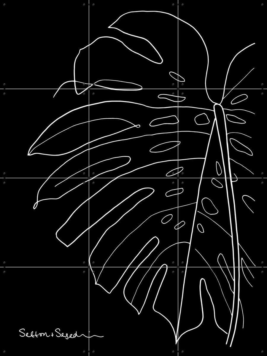 IXXI Monstera black, Sefton & Segedin - 60 x 80 cm - Gratis ophangtool - Grote wanddecoratie en posters - Line art, Illustraties, Grafisch Ontwerp