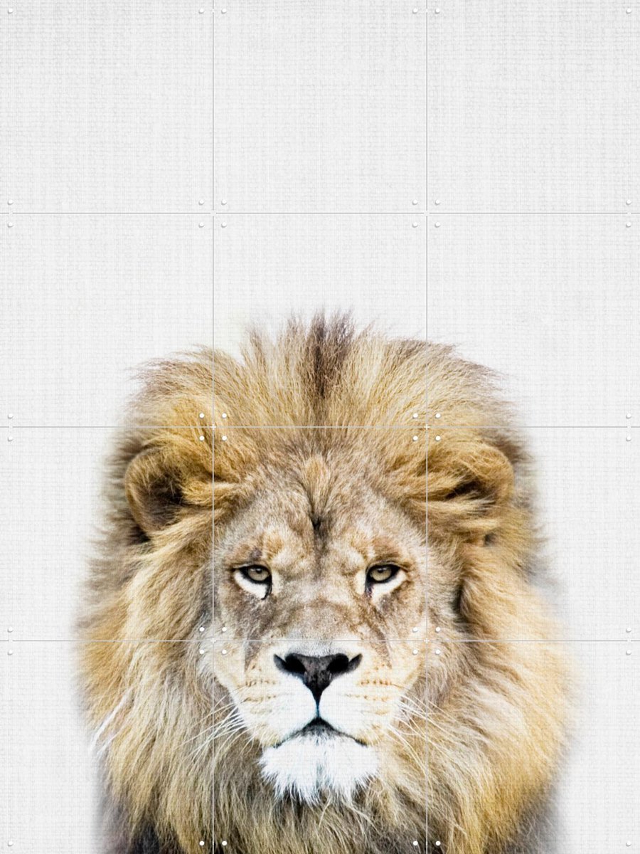 IXXI Print 326 Lion, Lila + Lola - 60 x 80 cm - Gratis ophangtool - Grote wanddecoratie en posters - Realisme, Fotografie, Babykamer, Kinderkamer