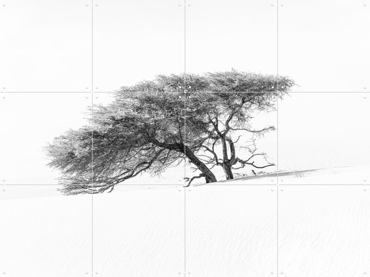 IXXI Tree in Sahara Desert, Photolovers - 80 x 60 cm - Gratis ophangtool - Grote wanddecoratie en posters - Fotografie, Minimalisme, Woonkamer