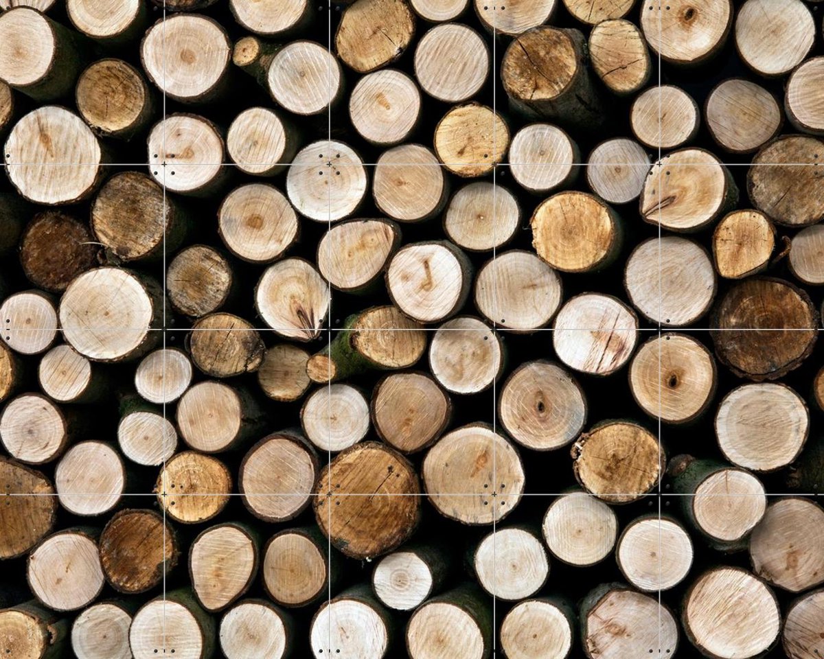 IXXI Wood, IXXI - 100 x 80 cm - Gratis ophangtool - Grote wanddecoratie en posters - Naturalisme, Fotografie, Slaapkamer, Eetkamer, Woonkamer, Natuur