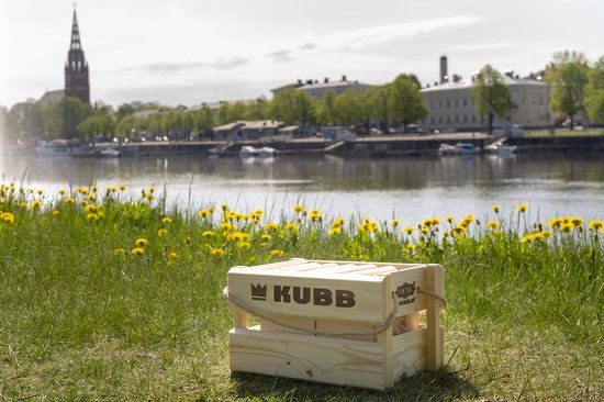 Houten Kubb kistje op gras bij een meer, met een fontein en gebouwen.