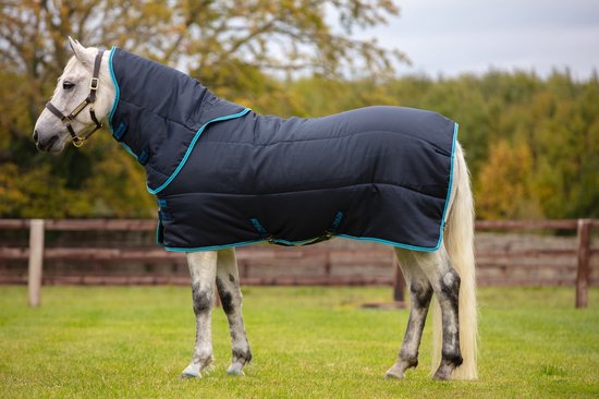 Amigo Insulator Plus Pony Medium 200g Staldeken Navy 75-114 Pony Amigo Insulator Plus Pony Medium 200g Staldeken Navy 75-114 Pony