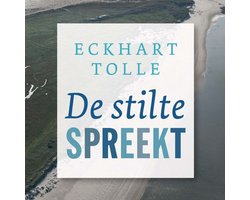 Omslag van De stilte spreekt