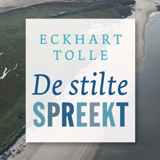 De stilte spreekt - cover