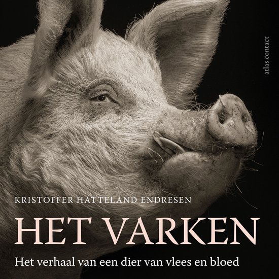 Het varken - cover