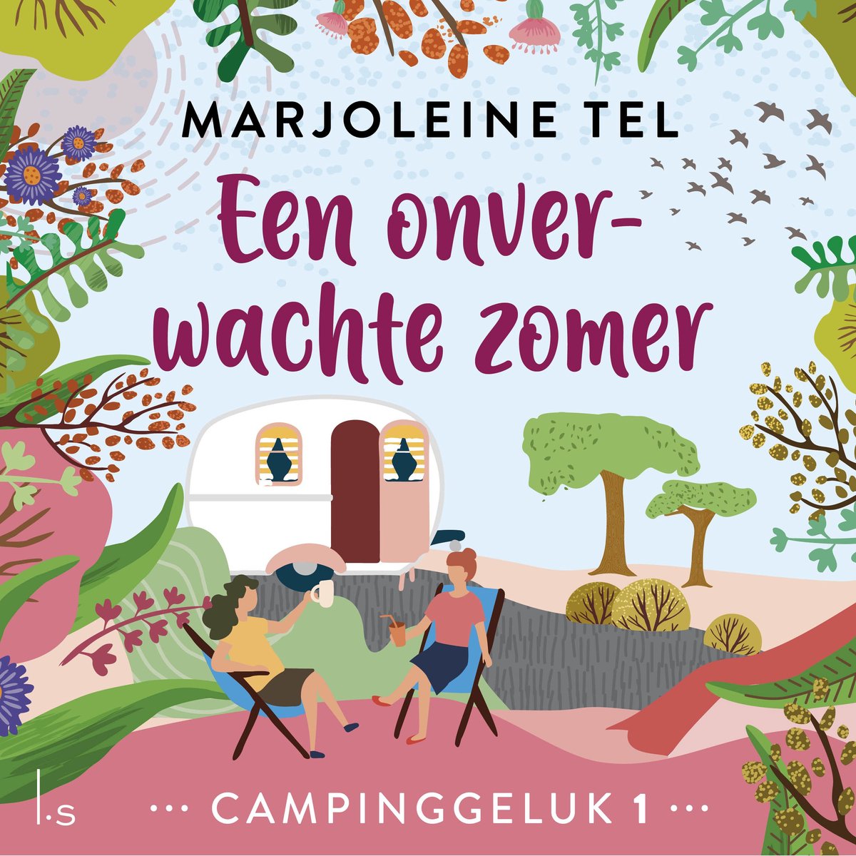 Omslag van Een onverwachte zomer