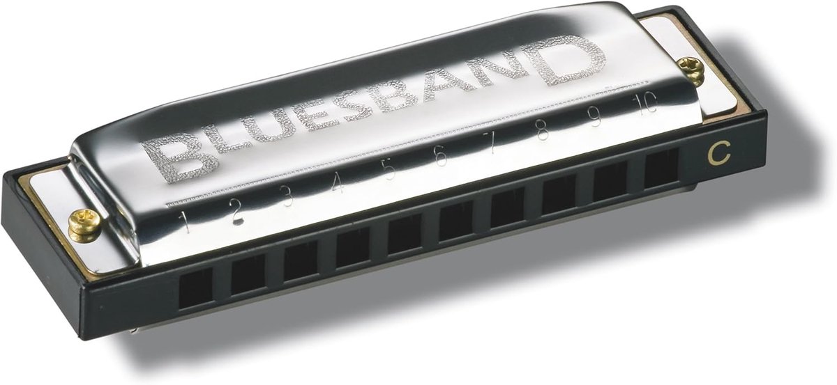 Blues Mondharmonica met 20 Stembereiken en Tab-Systeem